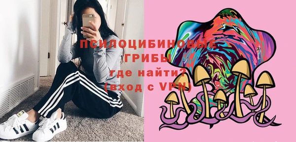 крисы Аркадак